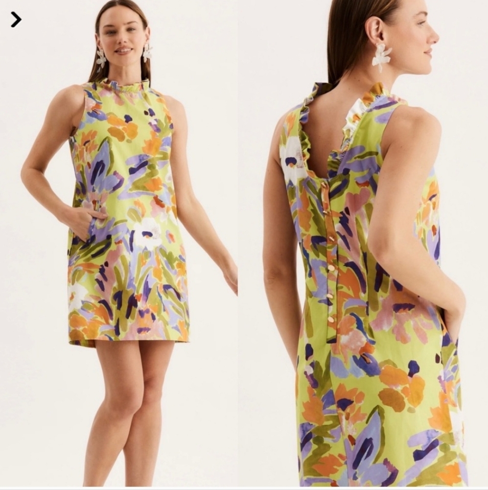 Tyler Boe Ella Linen Dress (Chartreuse Multi)